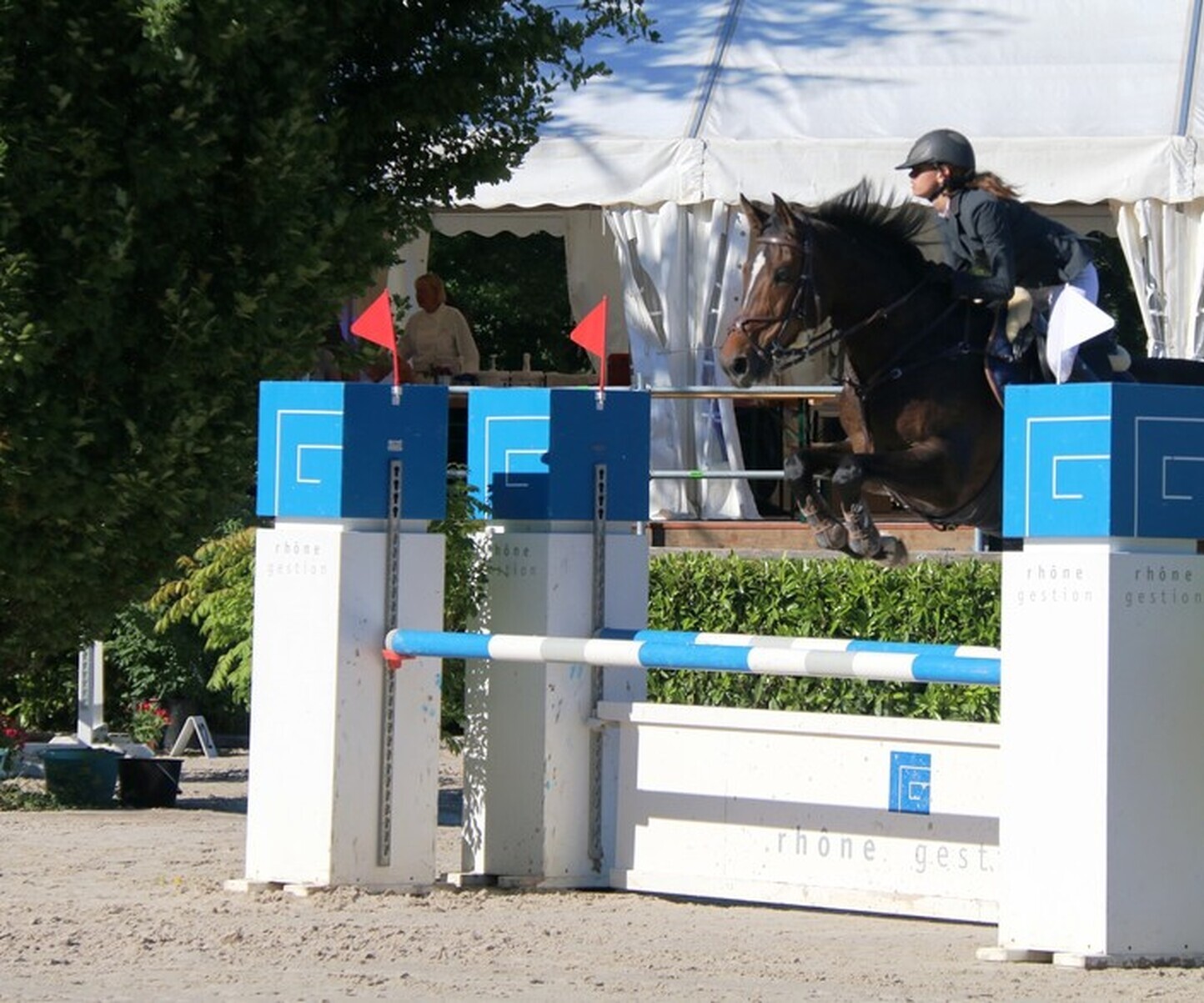 Description de l'image