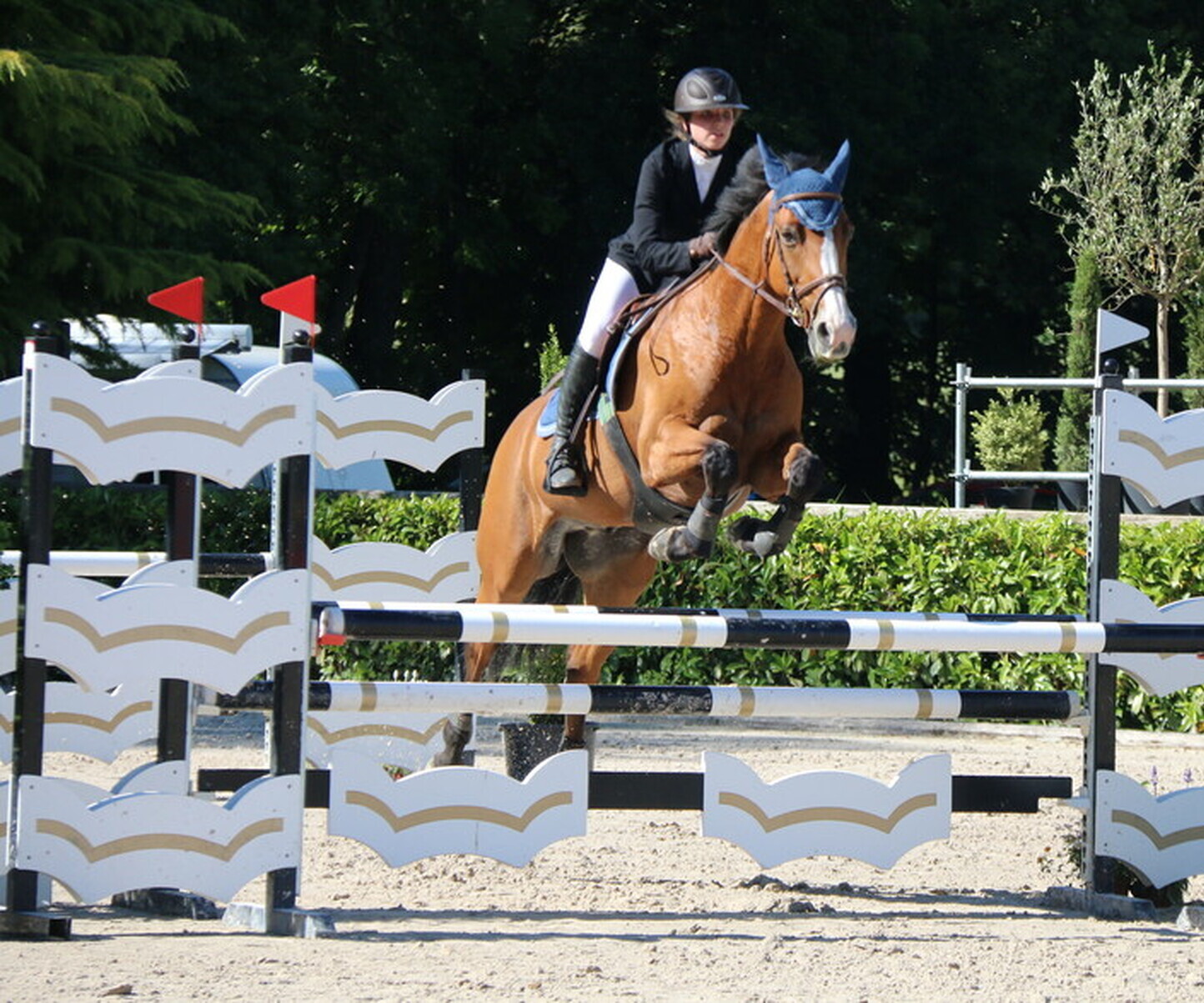 Description de l'image