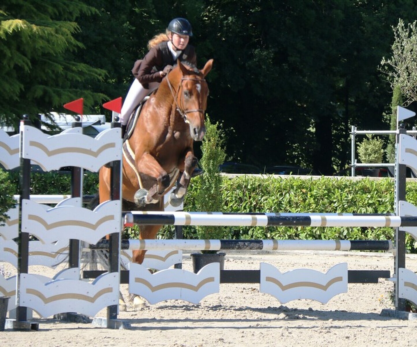 Description de l'image