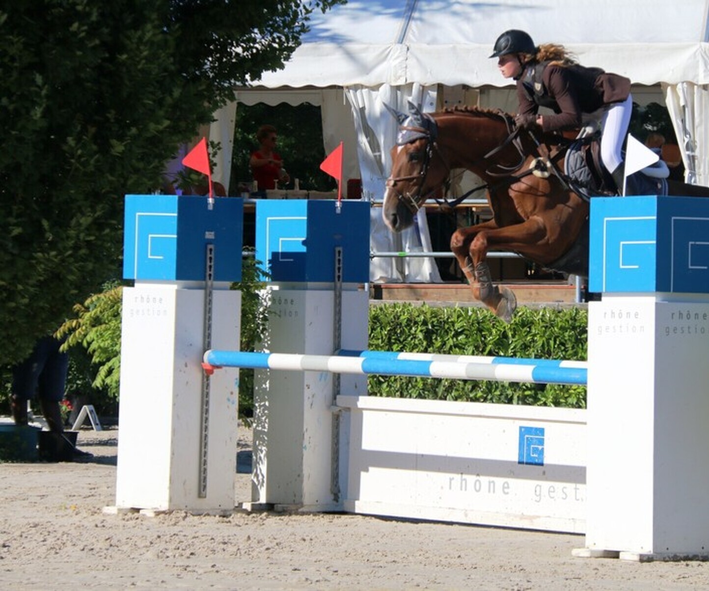 Description de l'image