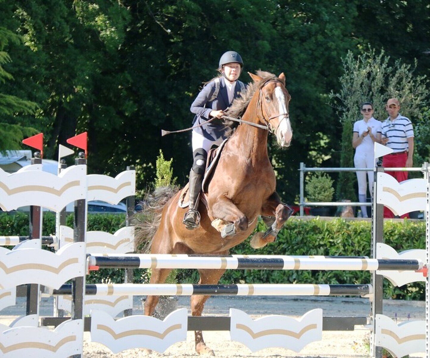 Description de l'image