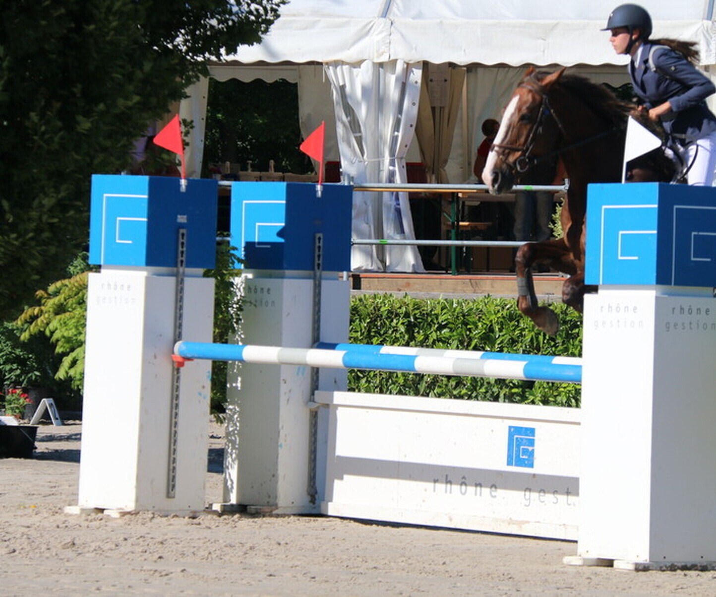 Description de l'image