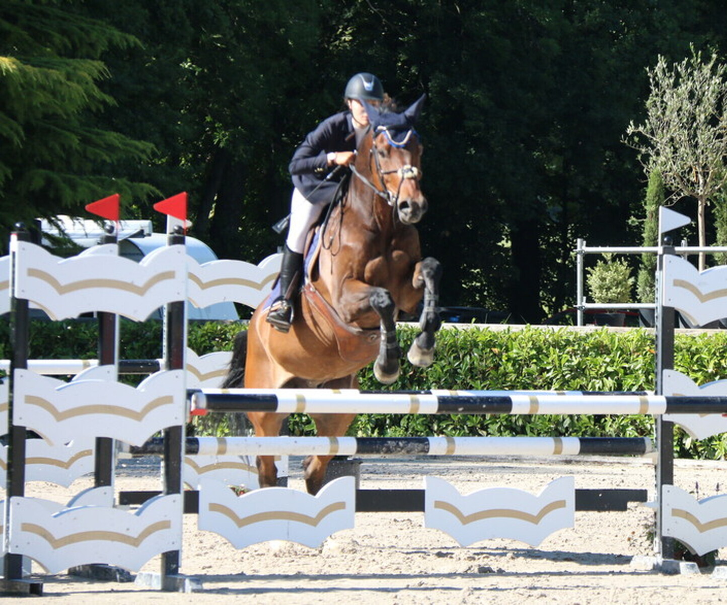 Description de l'image