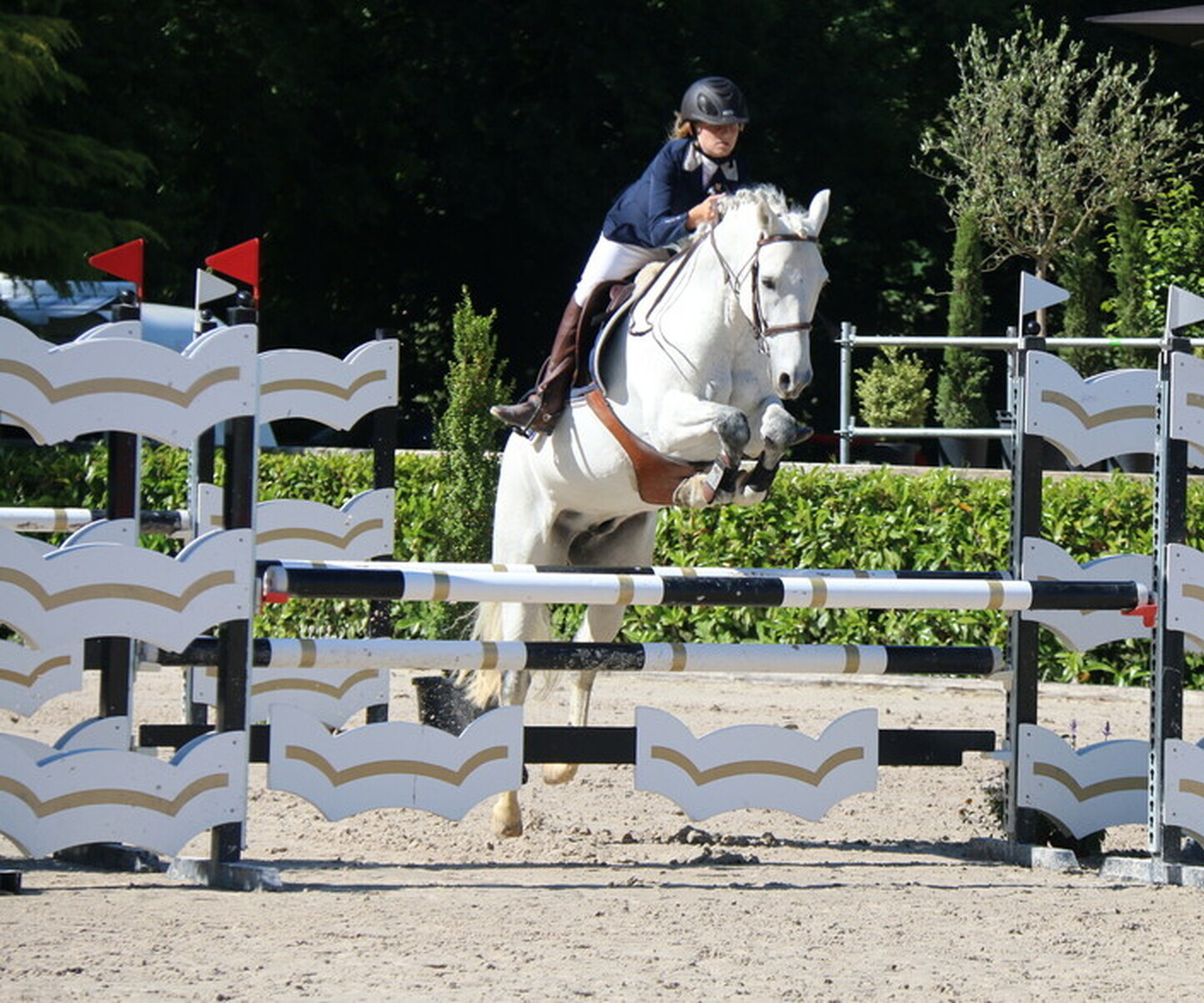 Description de l'image