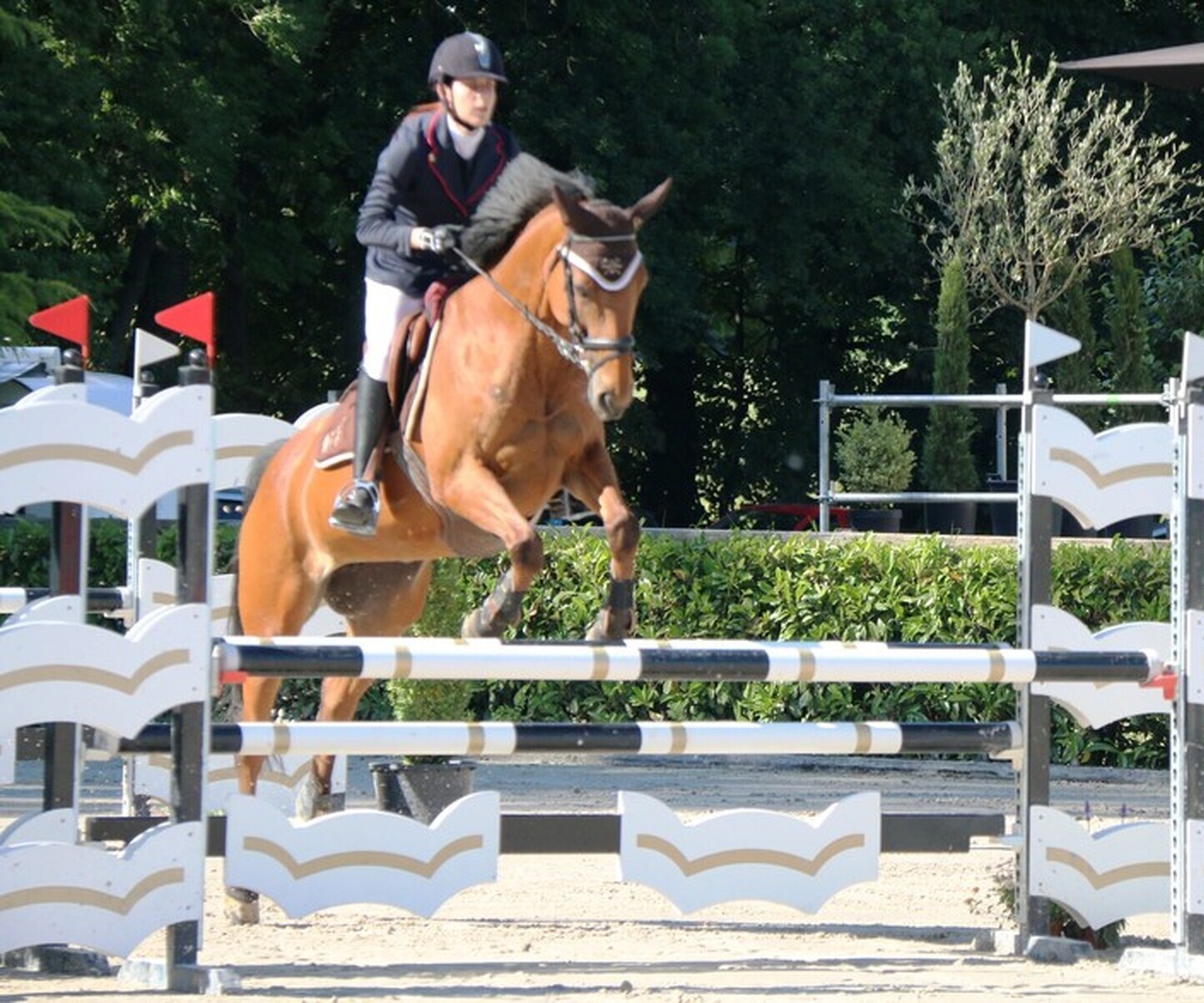 Description de l'image