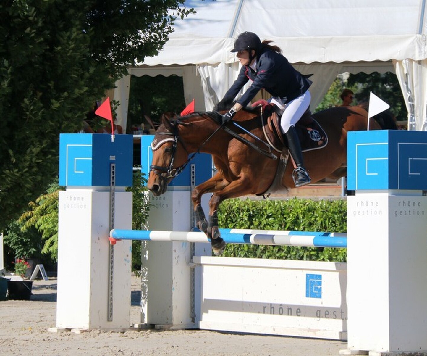 Description de l'image