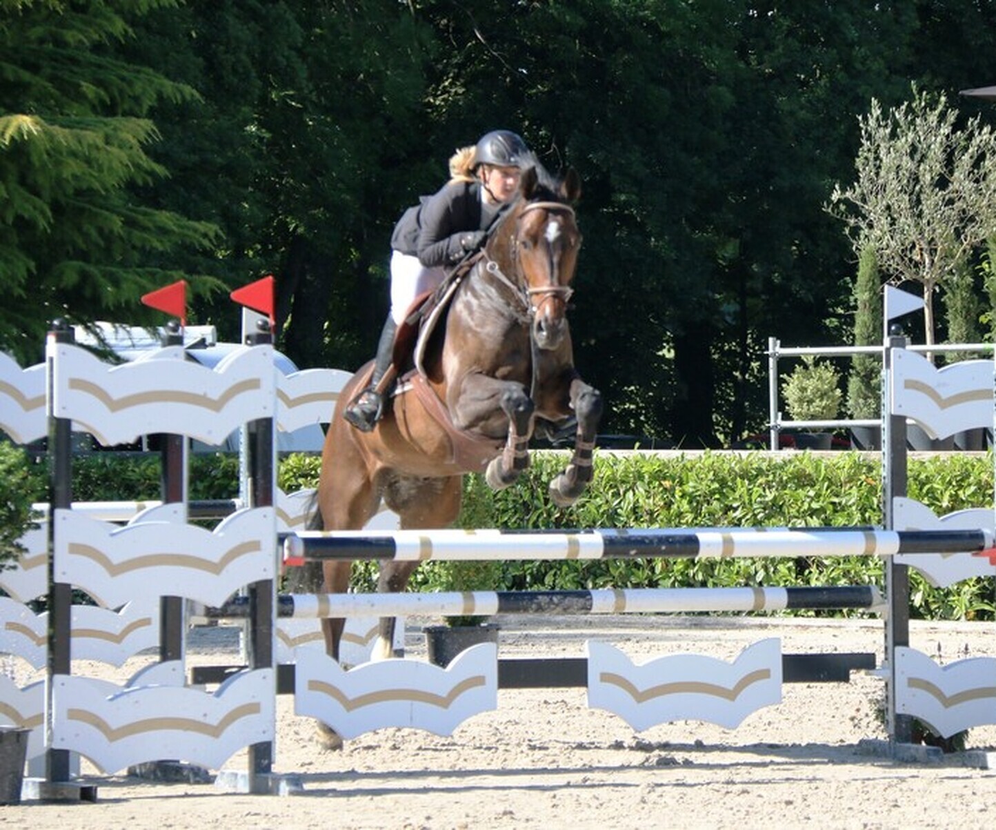 Description de l'image