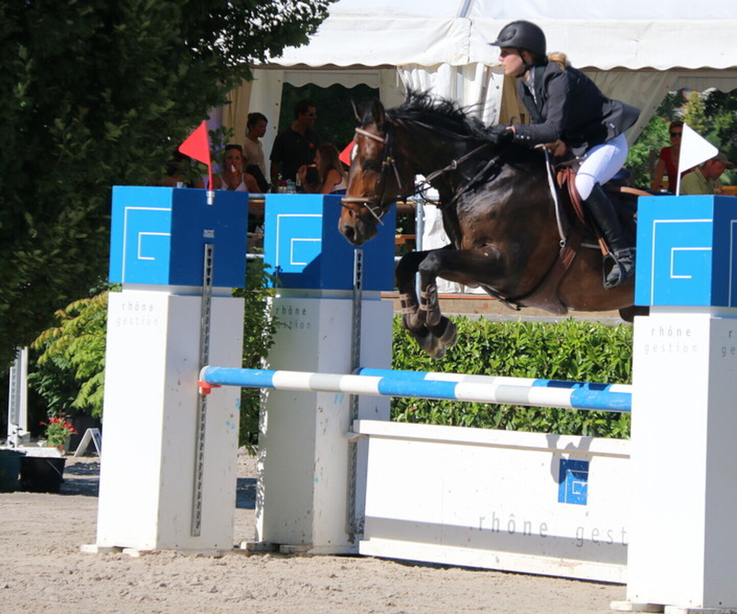 Description de l'image