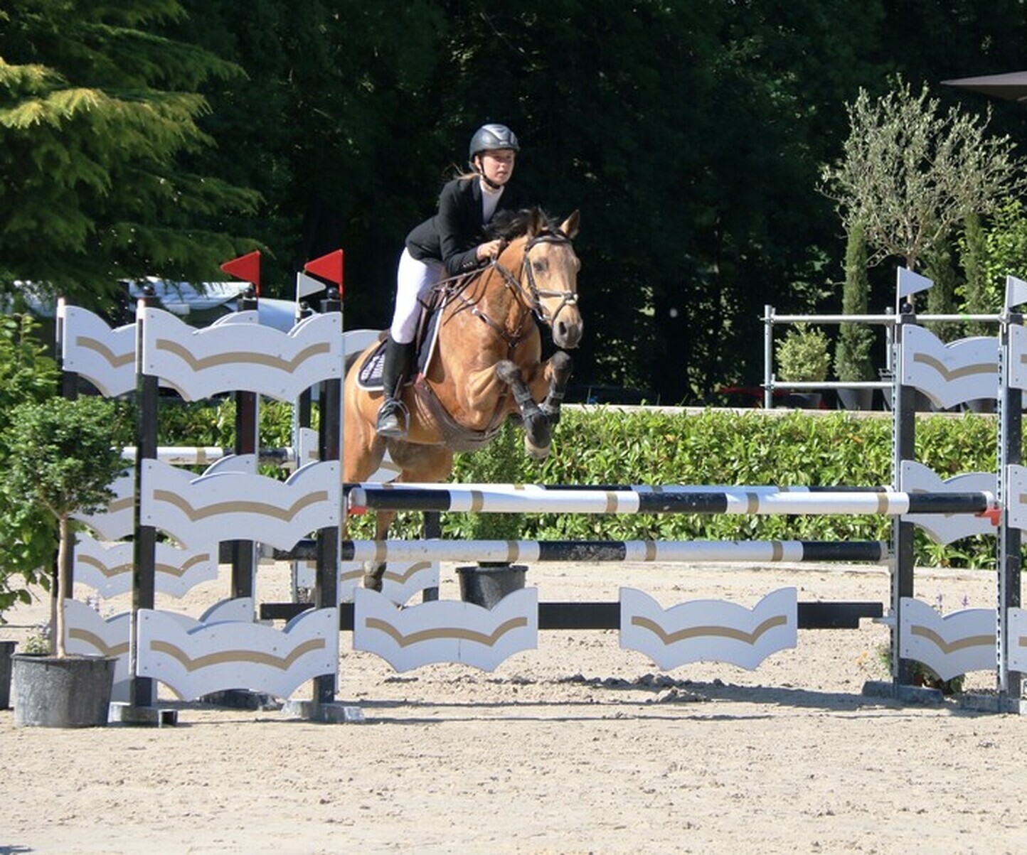 Description de l'image