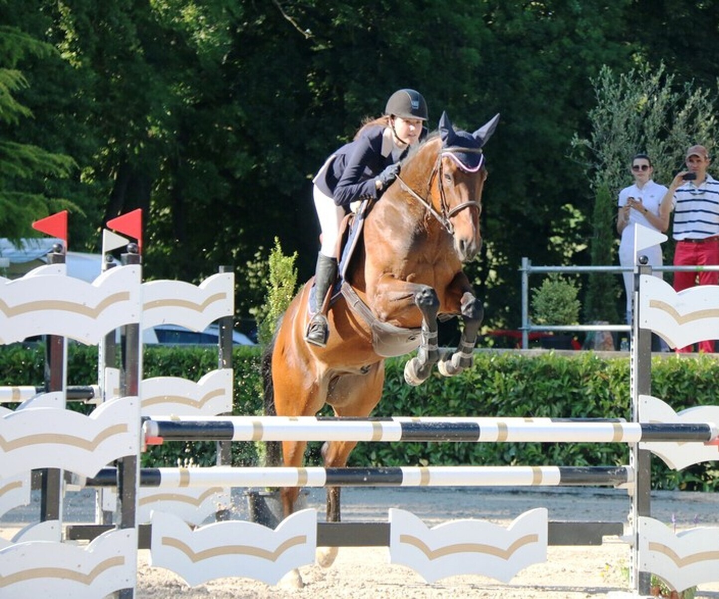 Description de l'image