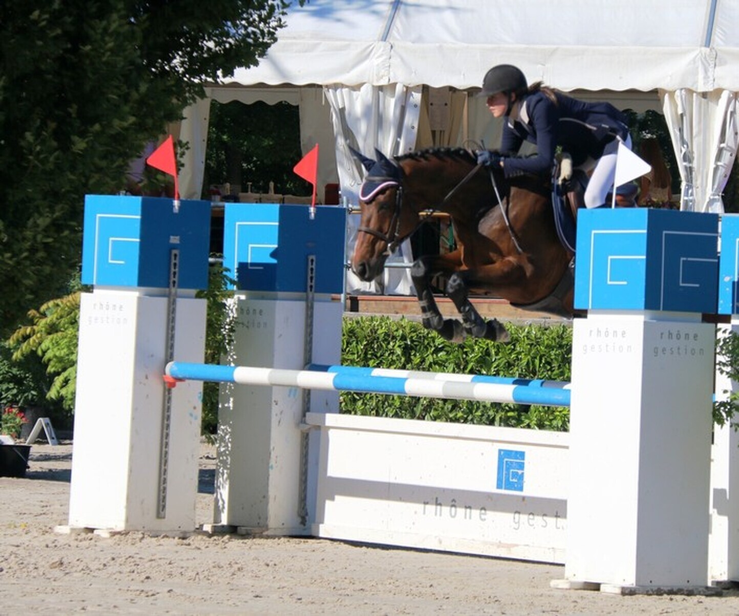 Description de l'image