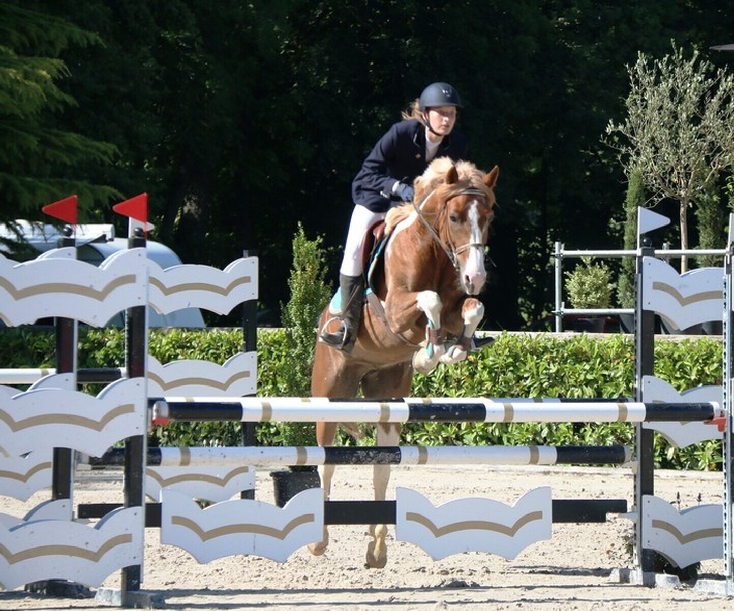 Description de l'image