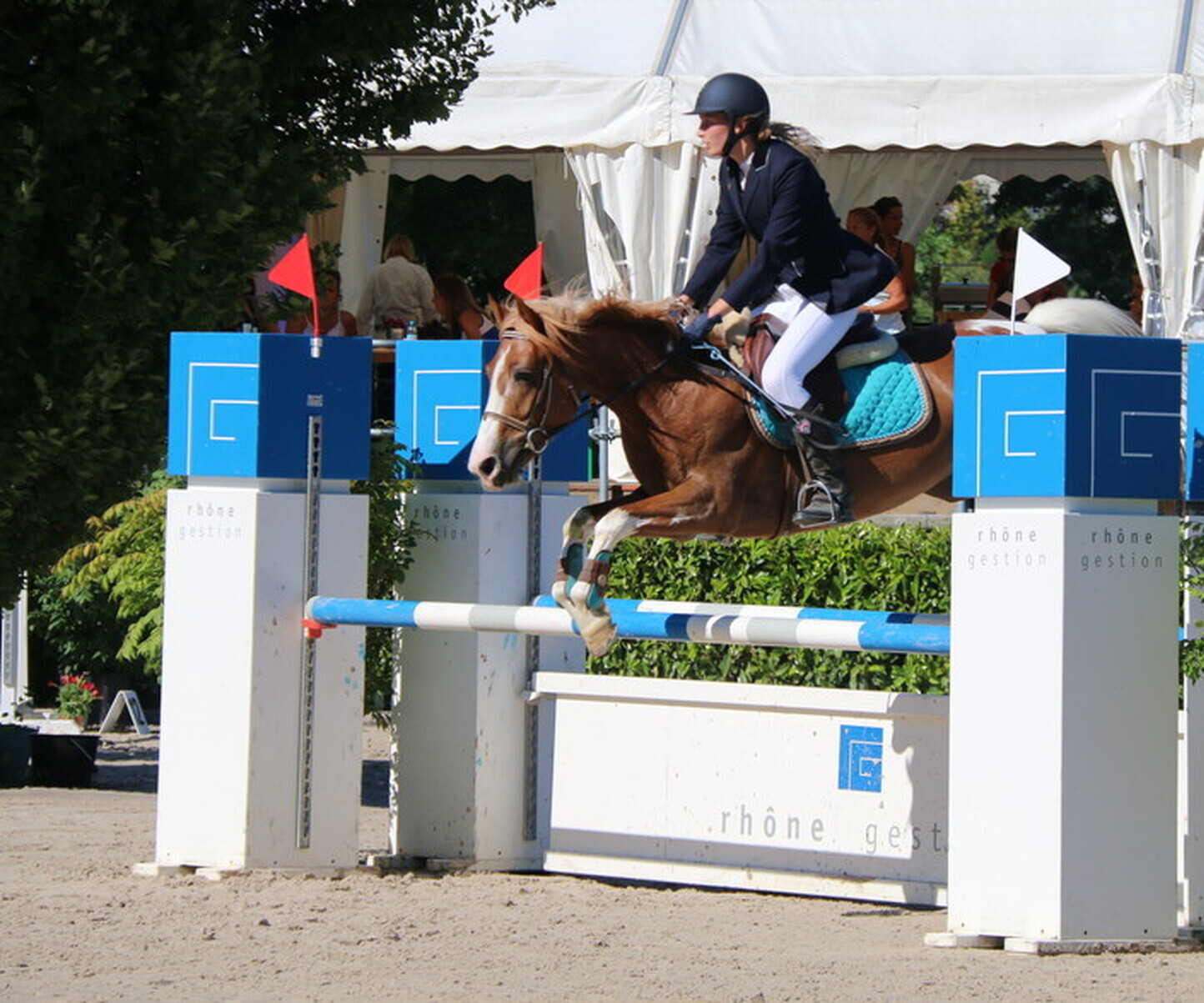 Description de l'image