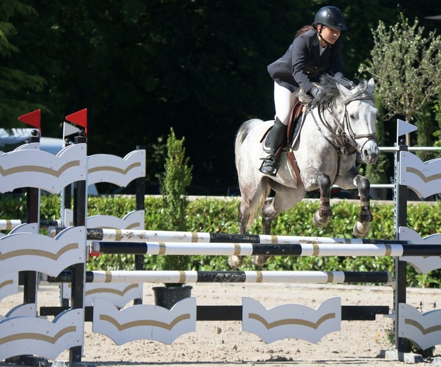 Description de l'image