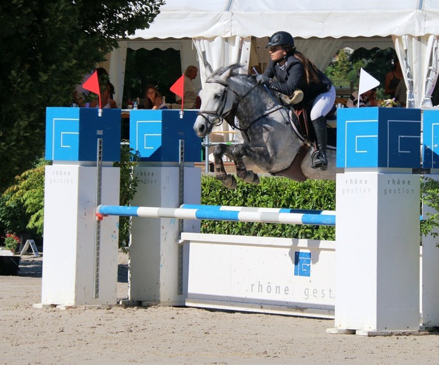 Description de l'image