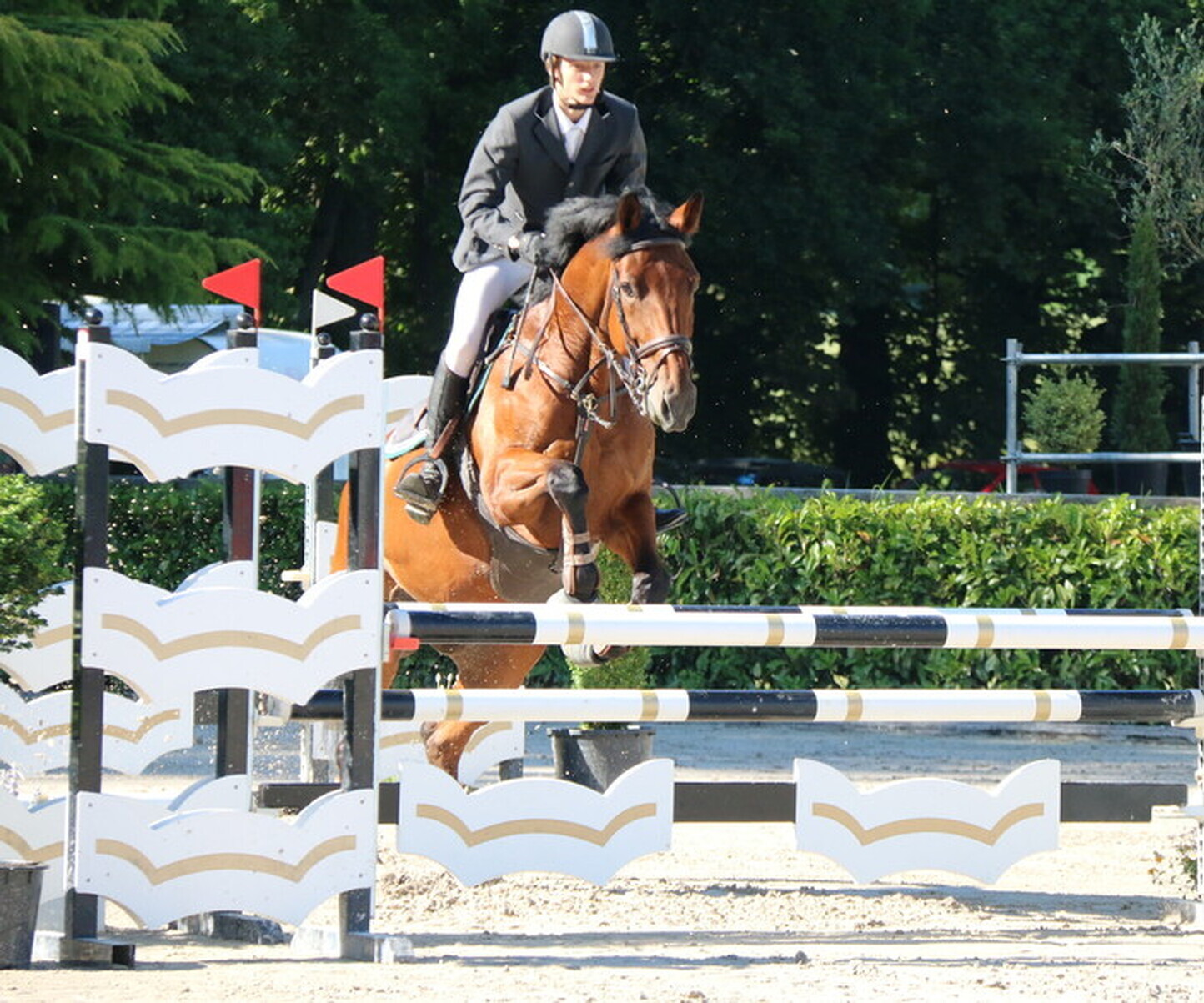 Description de l'image