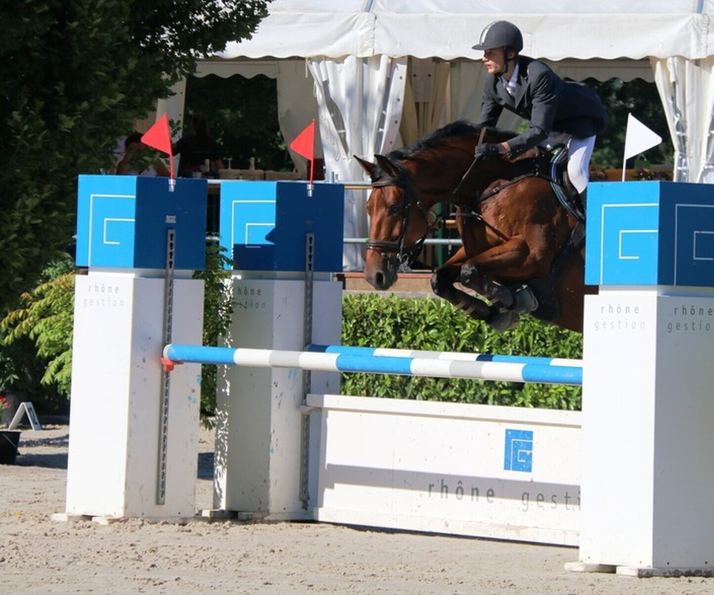 Description de l'image