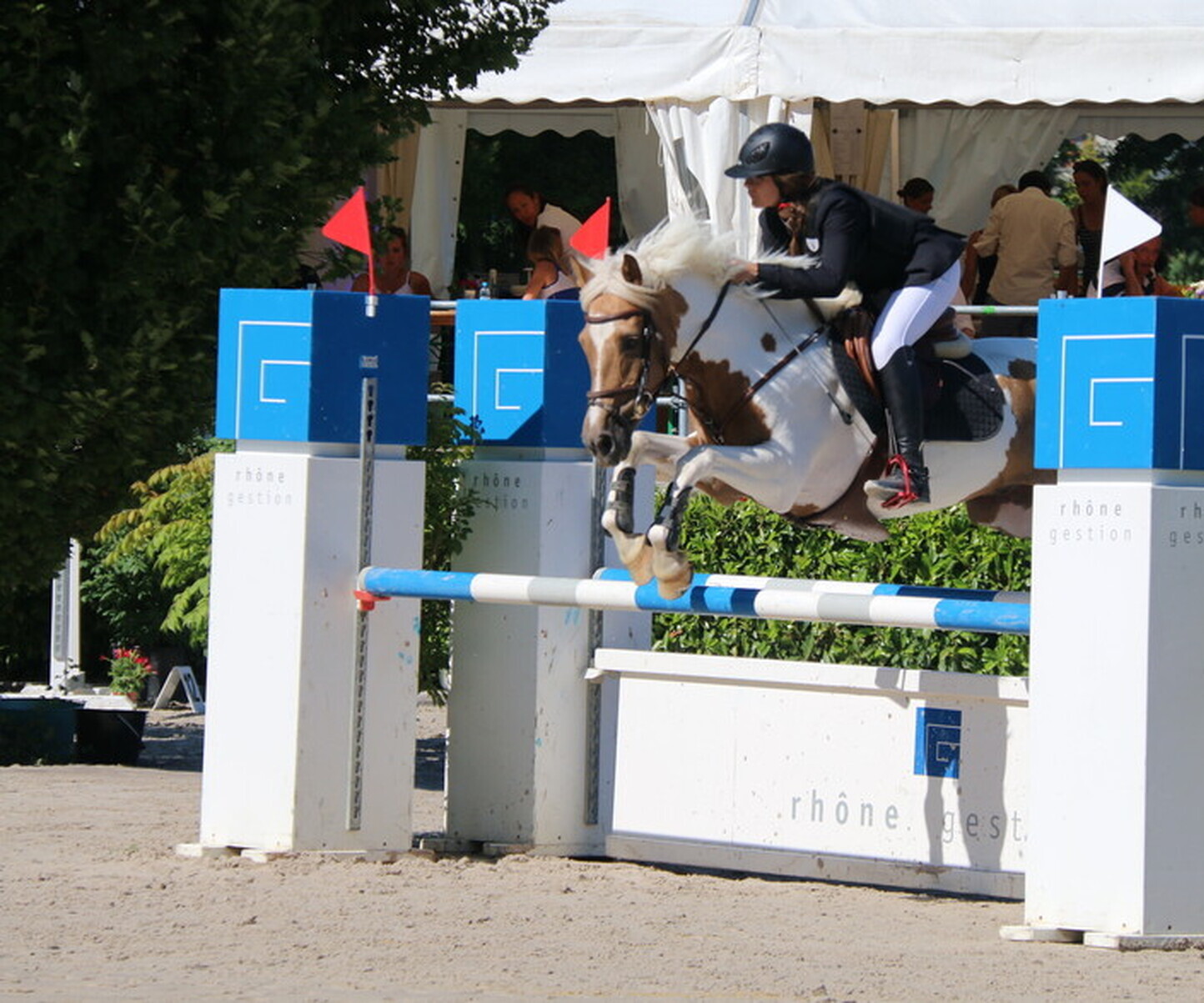 Description de l'image