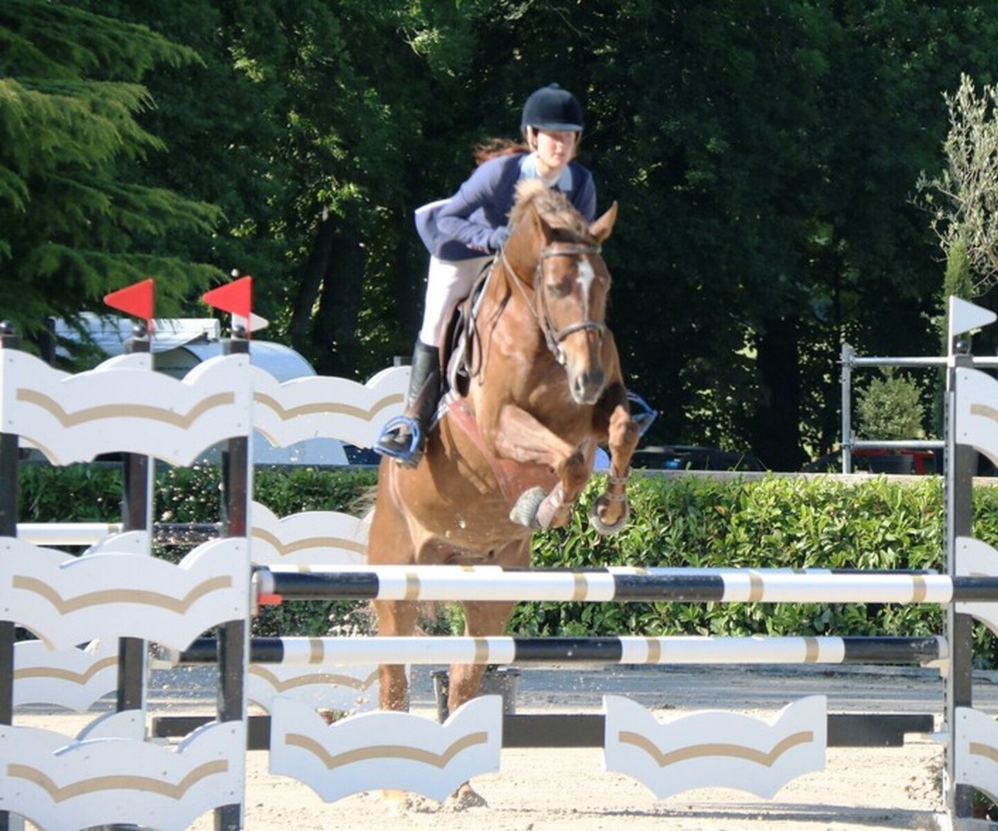 Description de l'image