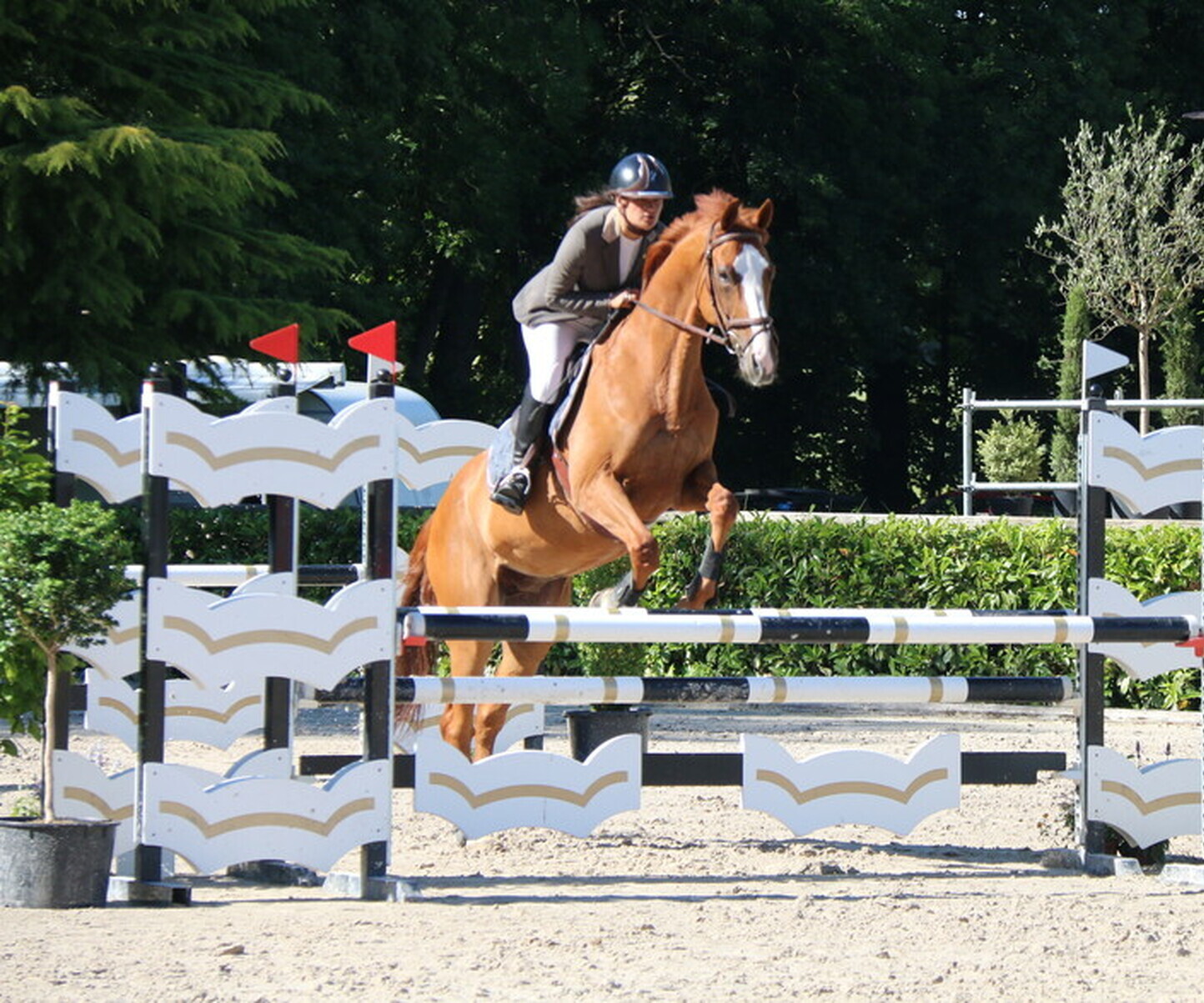 Description de l'image