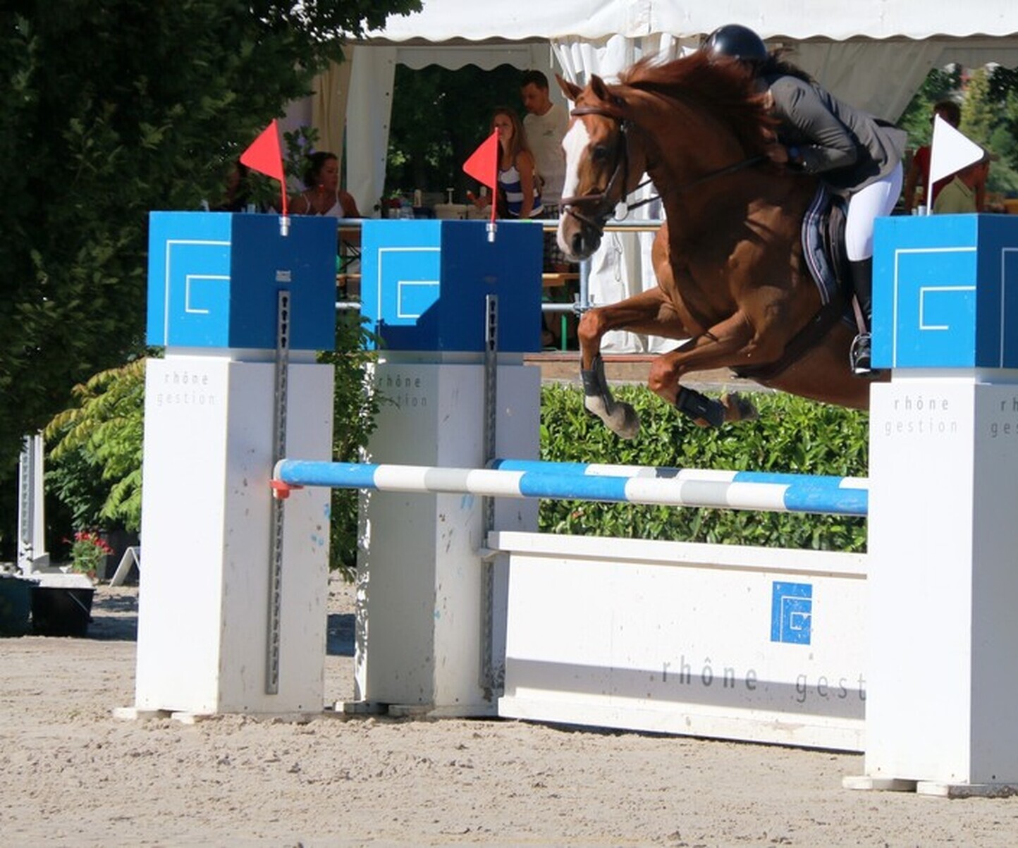 Description de l'image