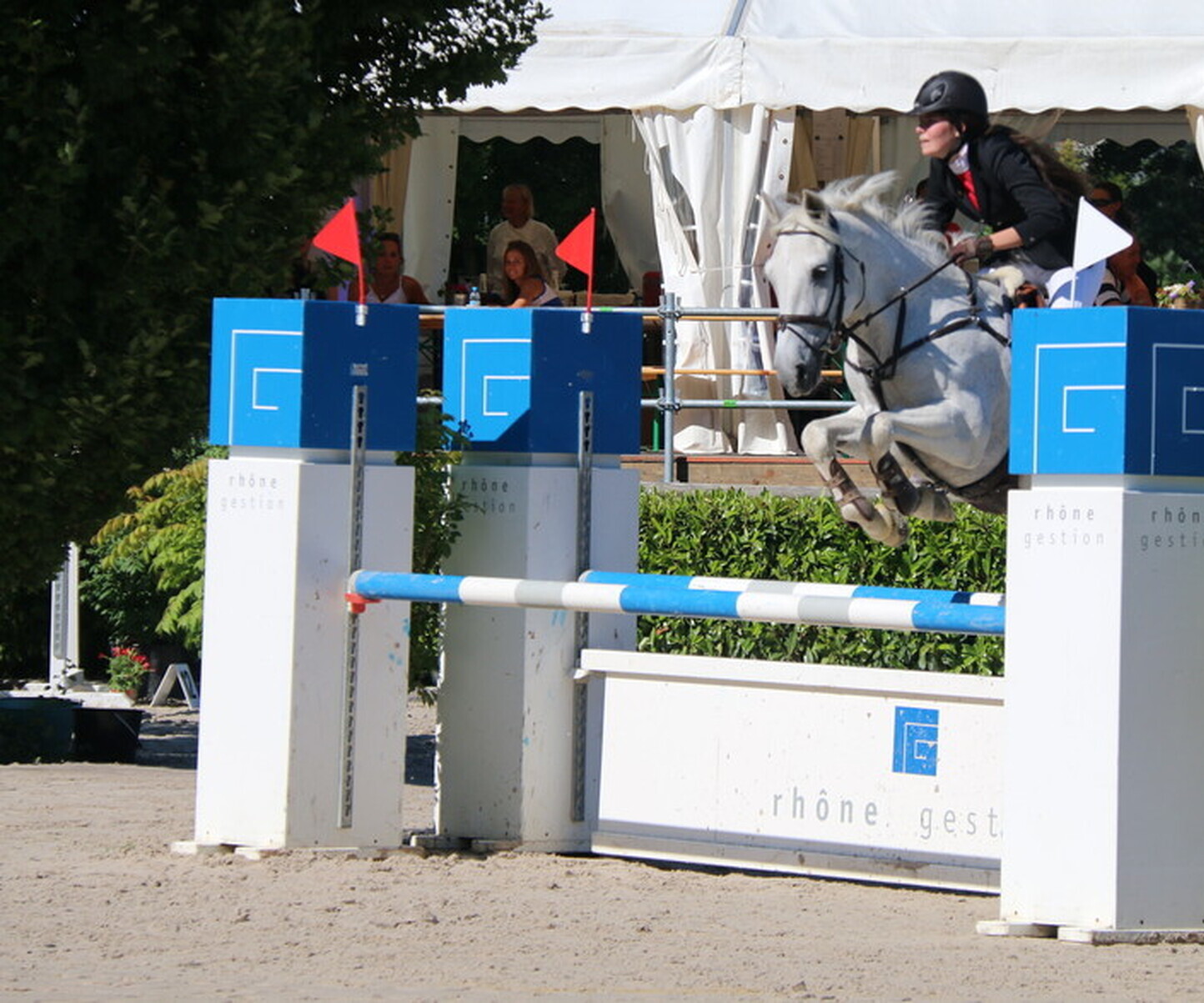 Description de l'image