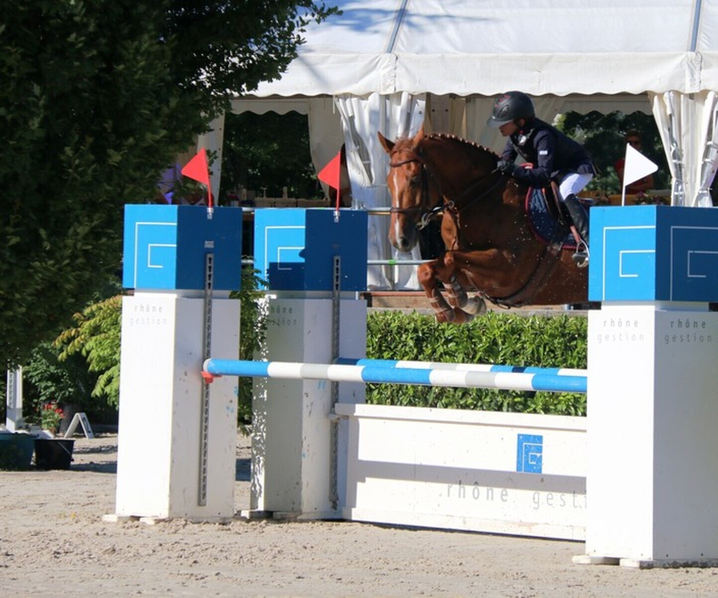 Description de l'image