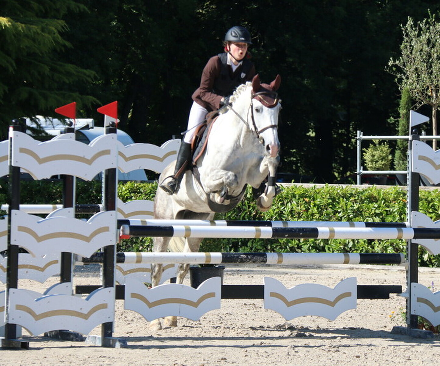 Description de l'image