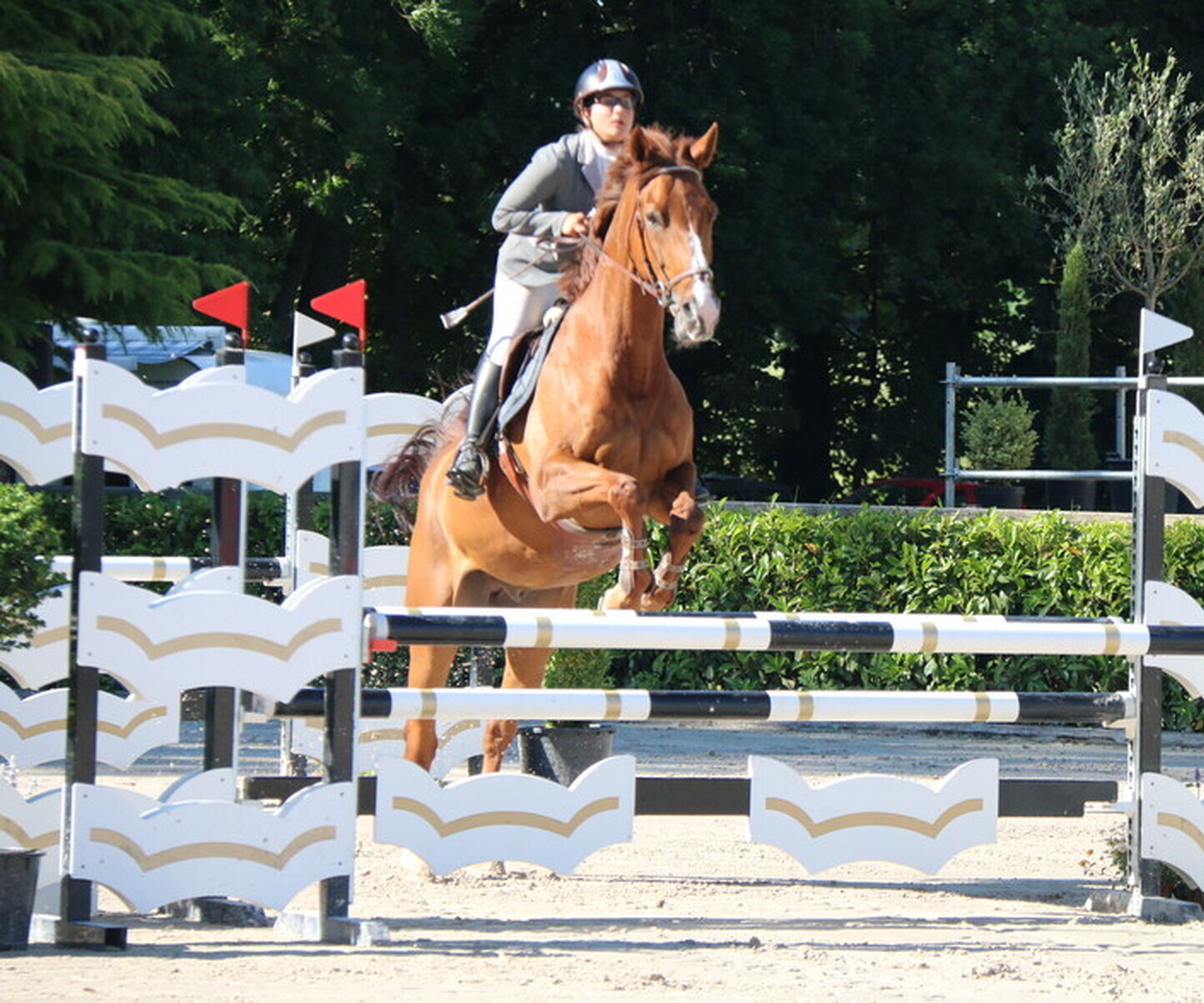 Description de l'image