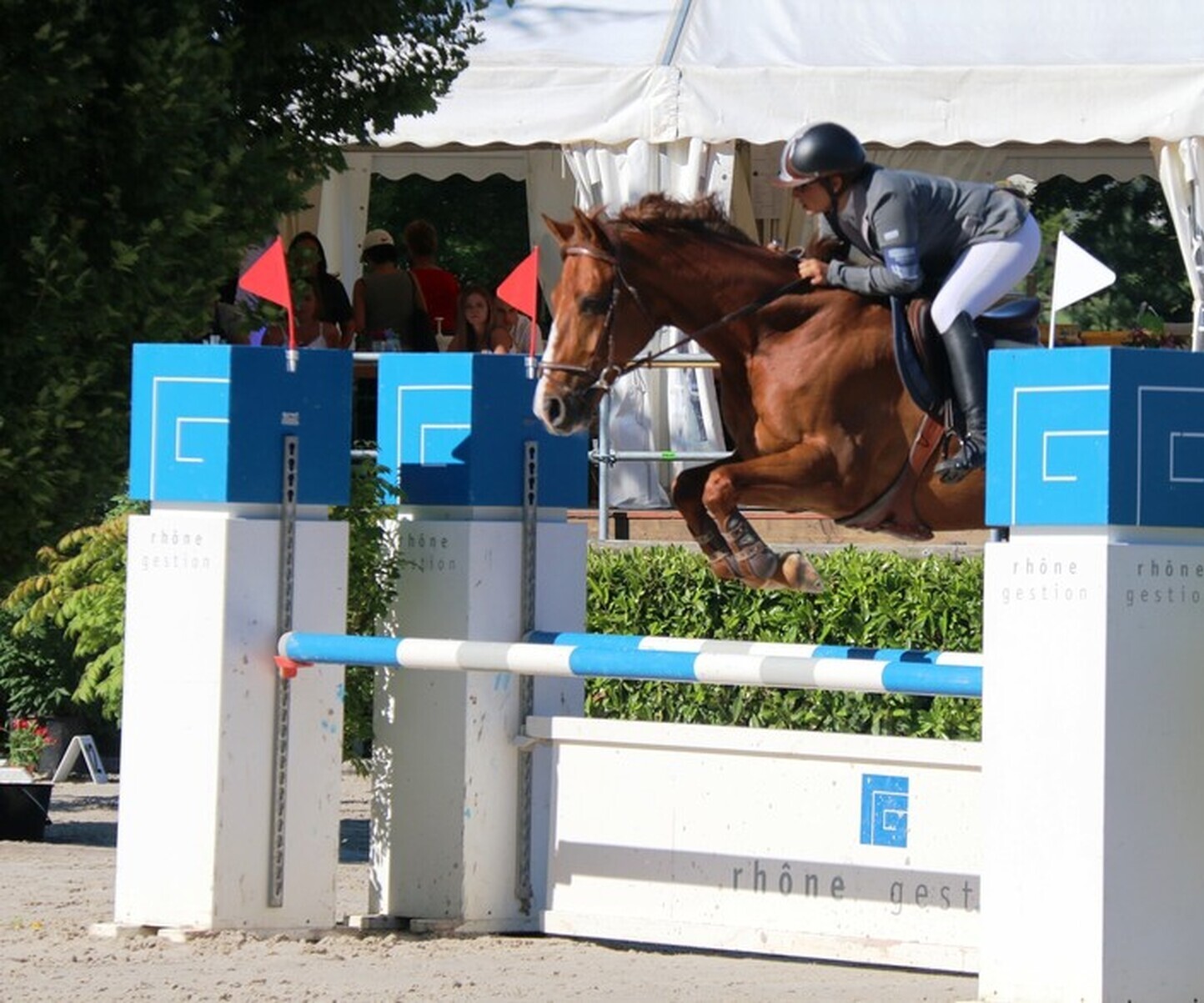 Description de l'image