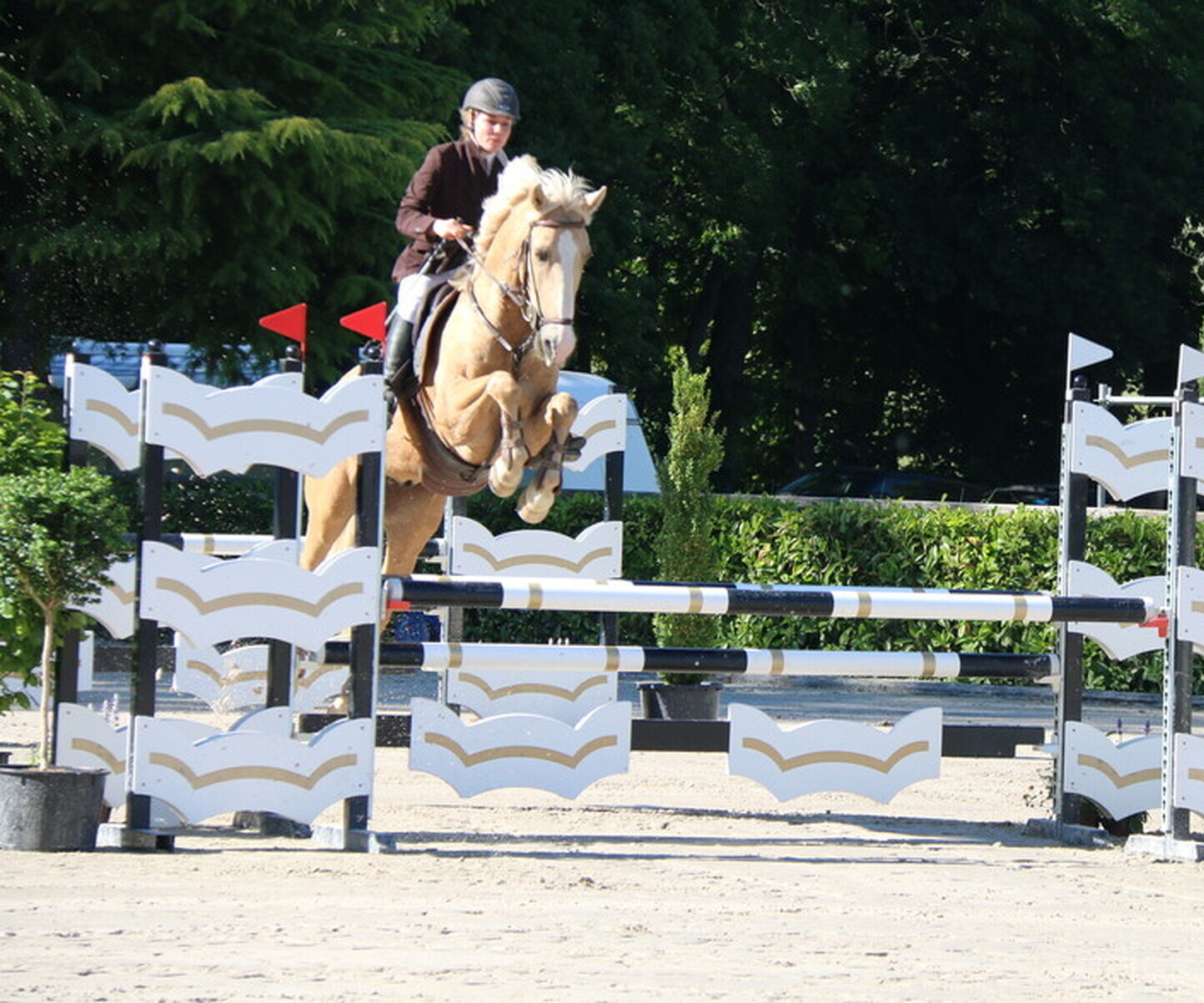 Description de l'image