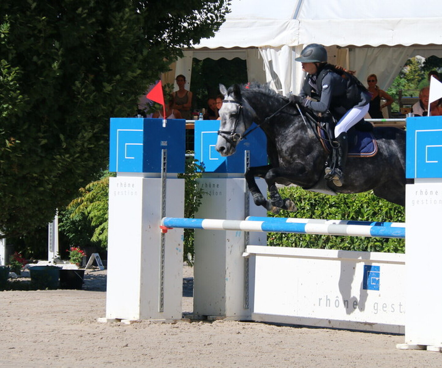 Description de l'image