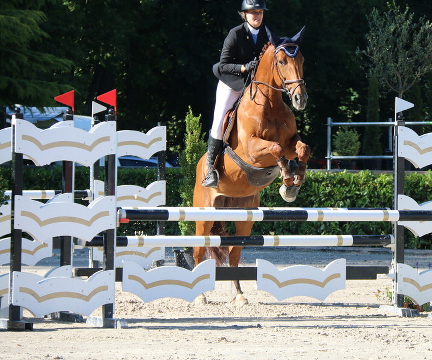 Description de l'image