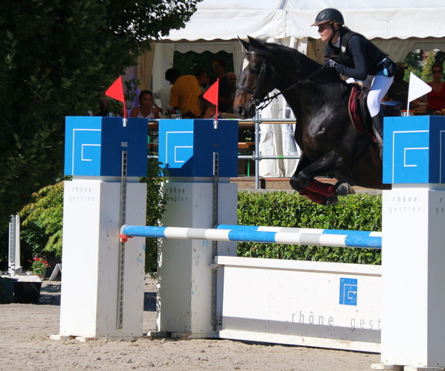 Description de l'image