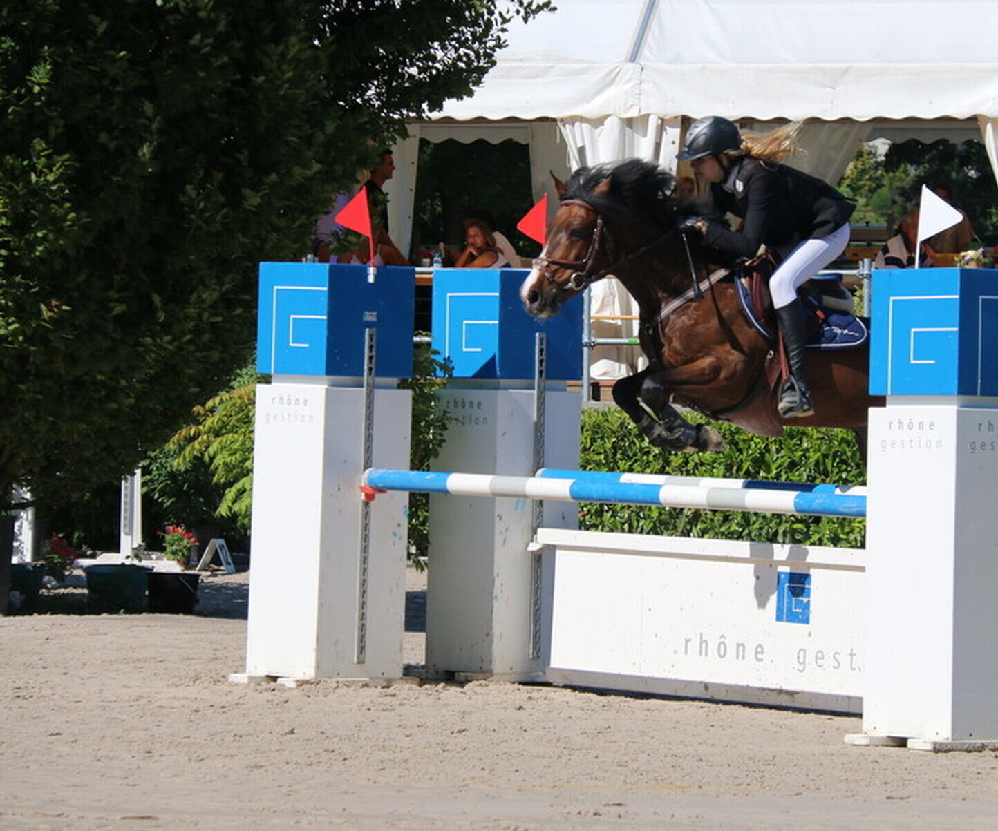 Description de l'image