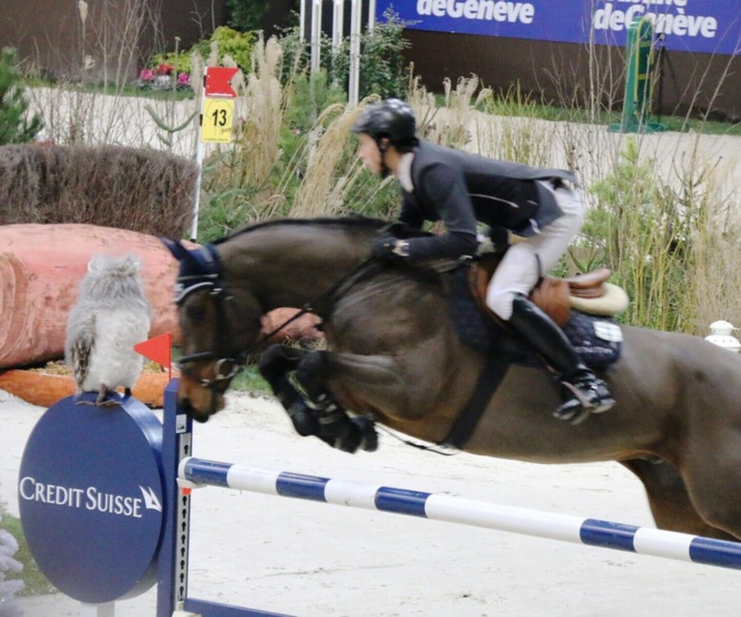 Description de l'image