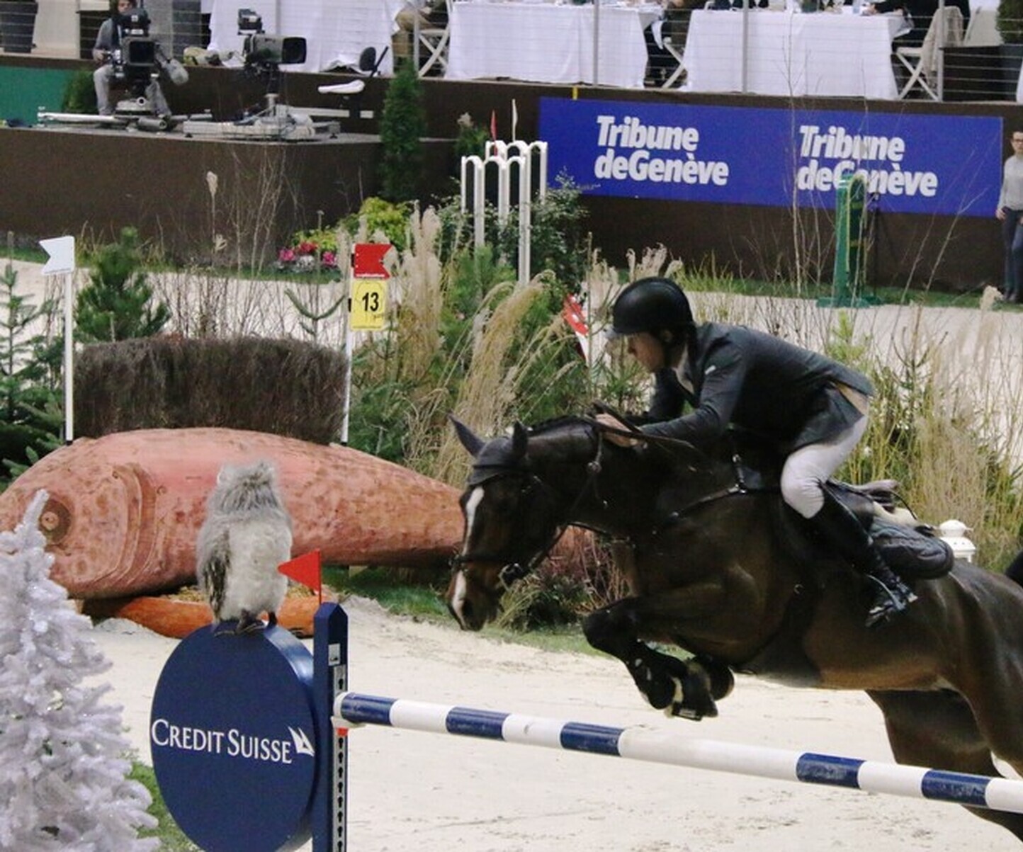 Description de l'image