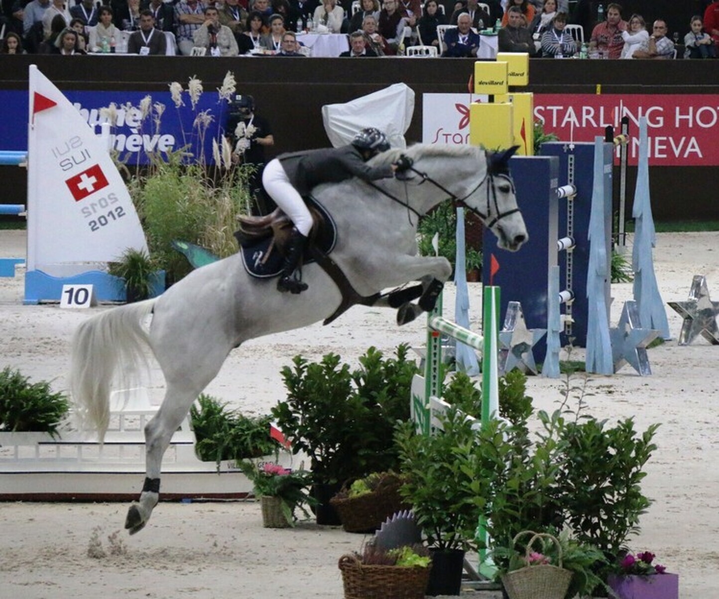 Description de l'image