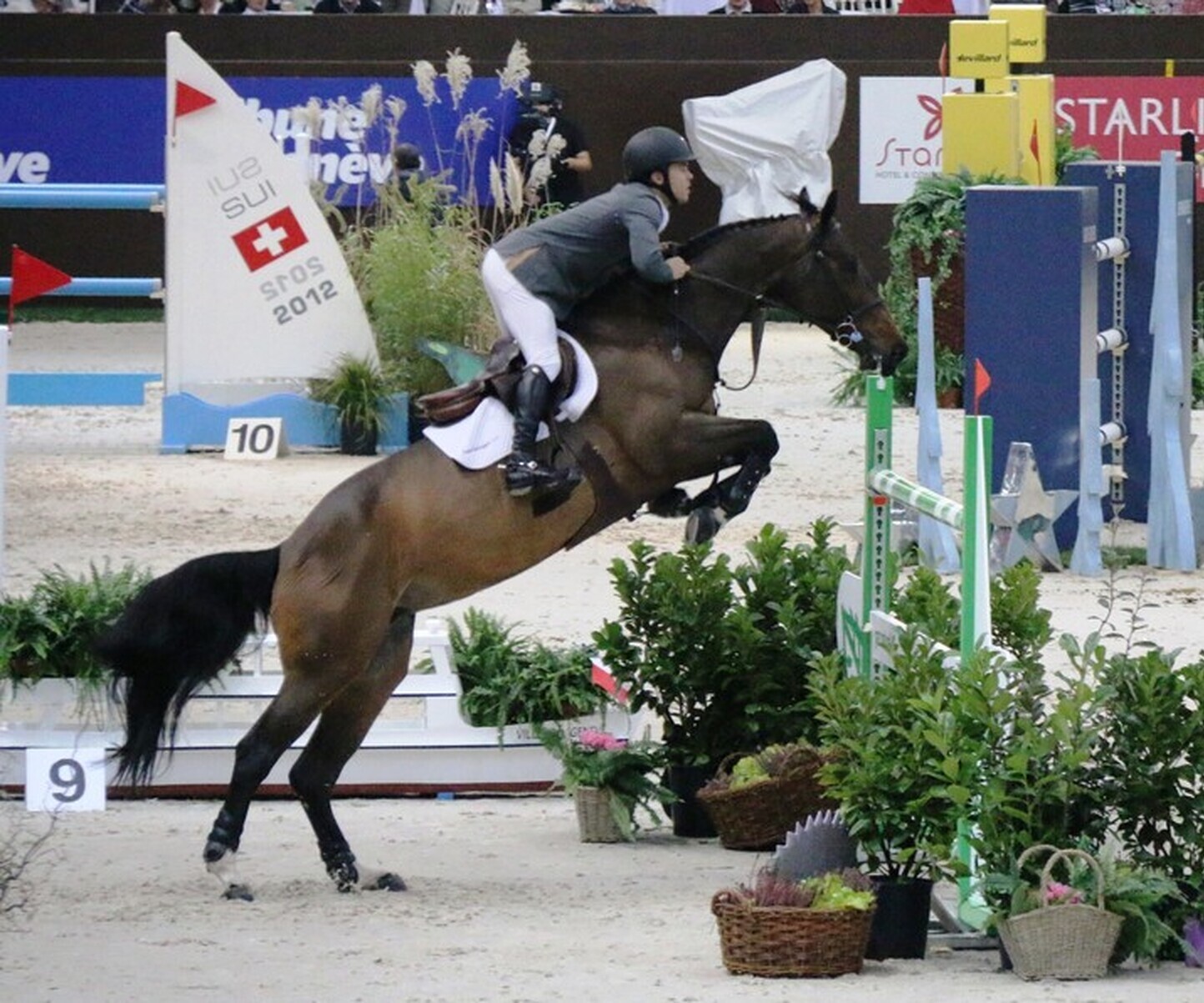 Description de l'image