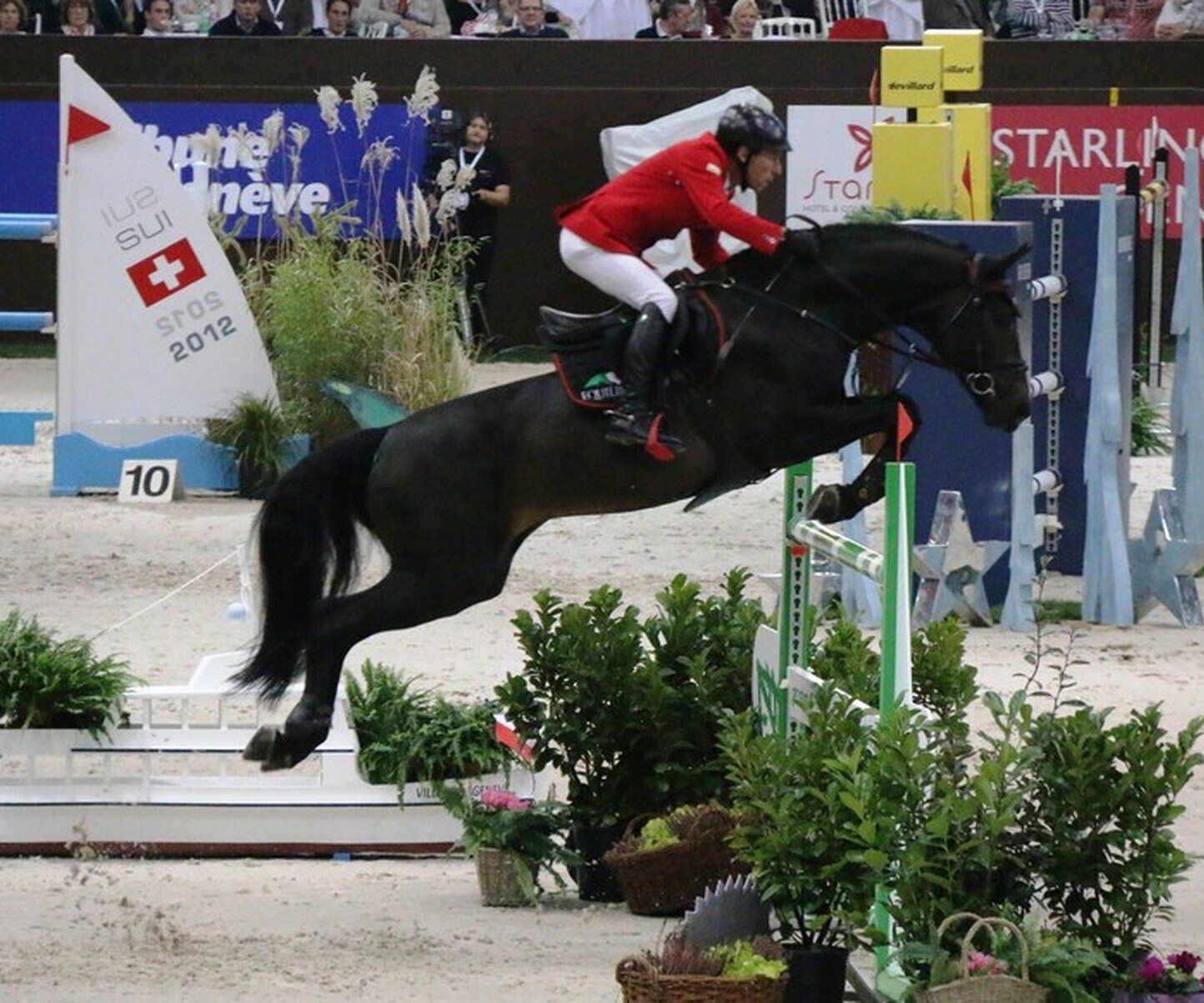 Description de l'image