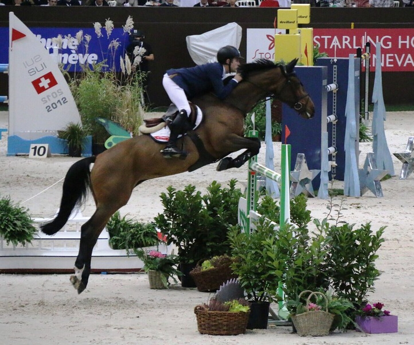 Description de l'image