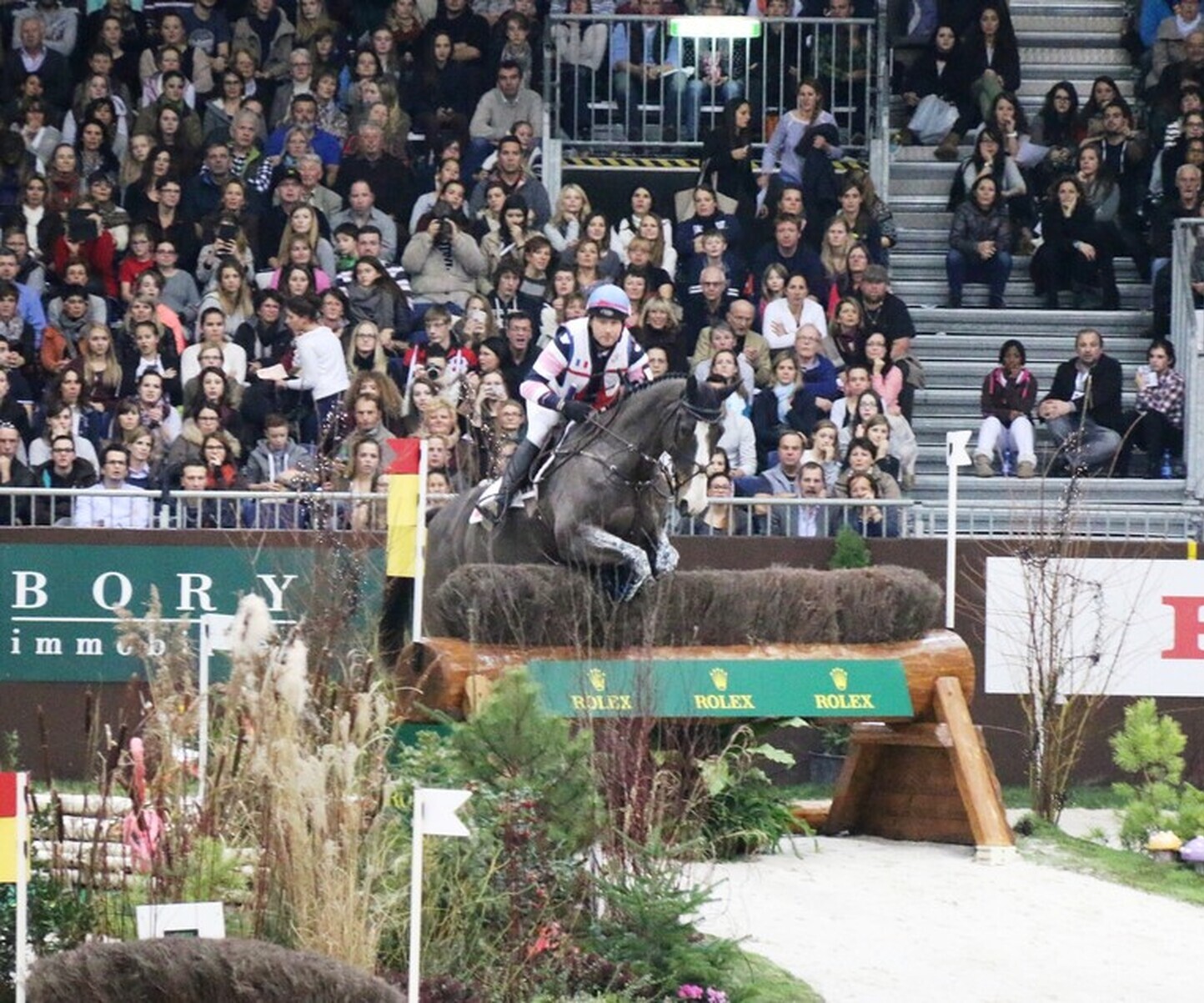 Description de l'image