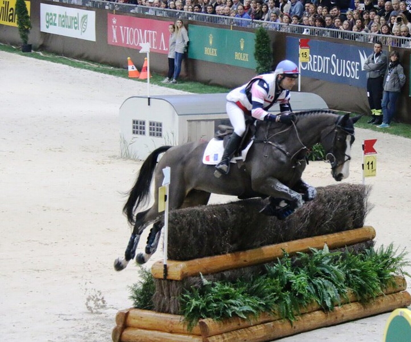 Description de l'image