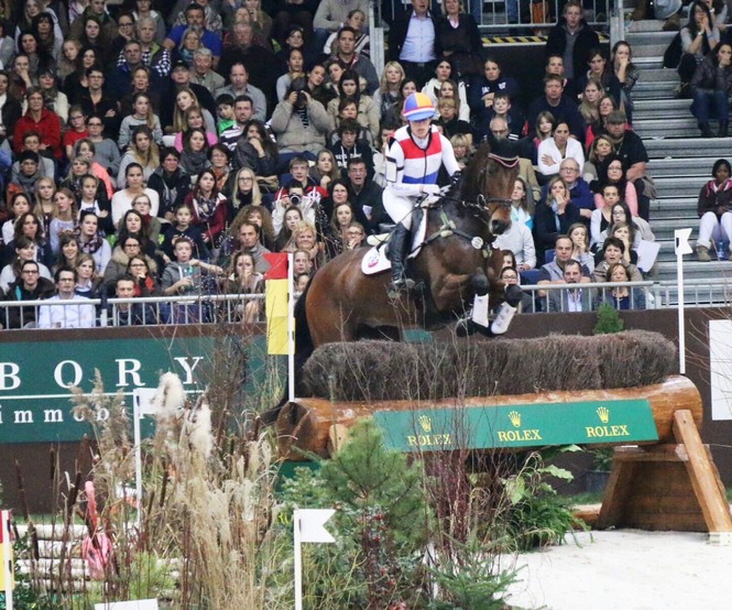 Description de l'image