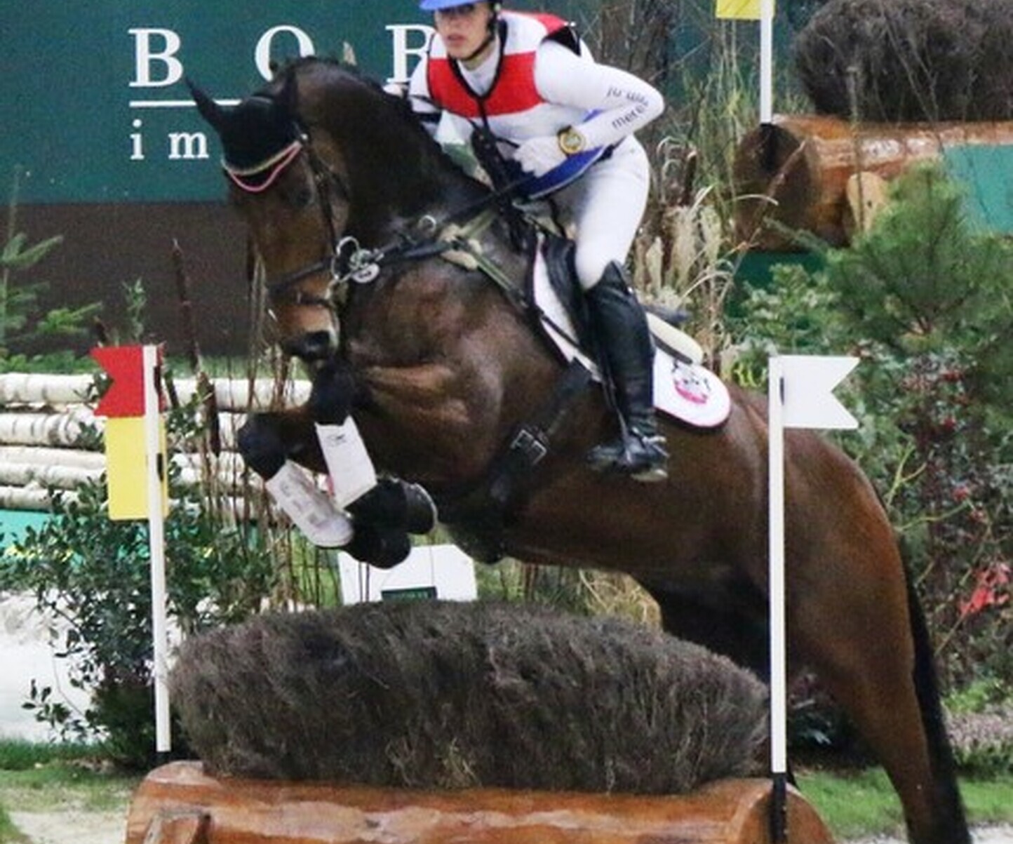 Description de l'image