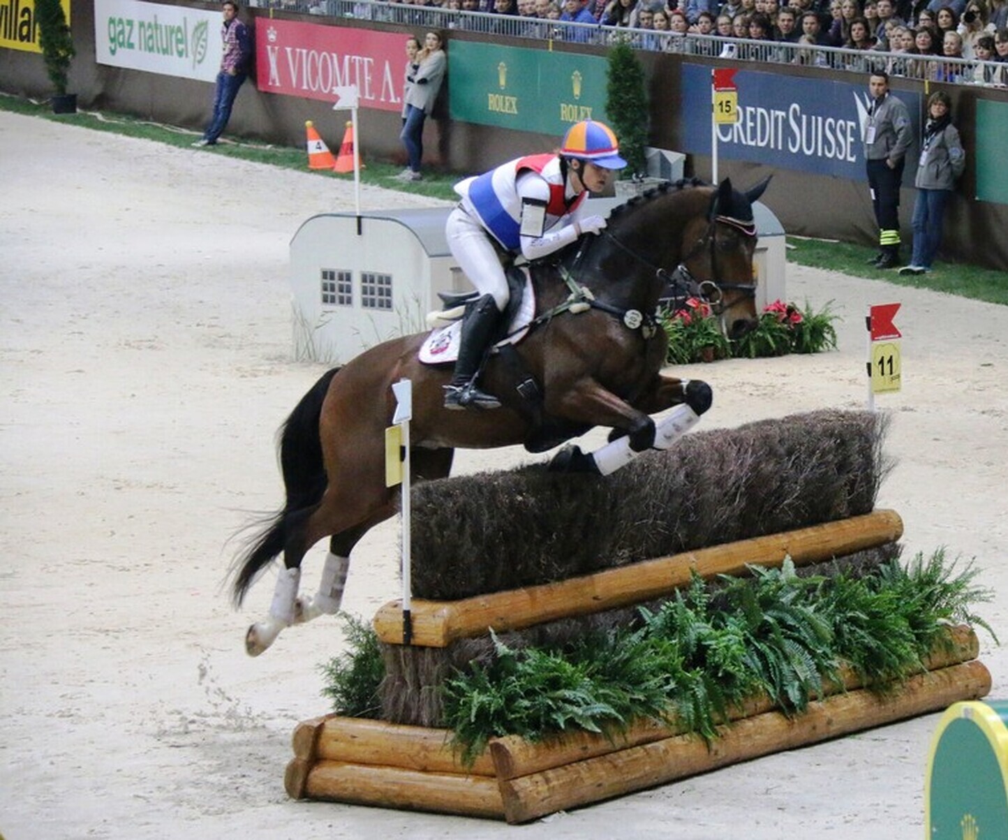 Description de l'image