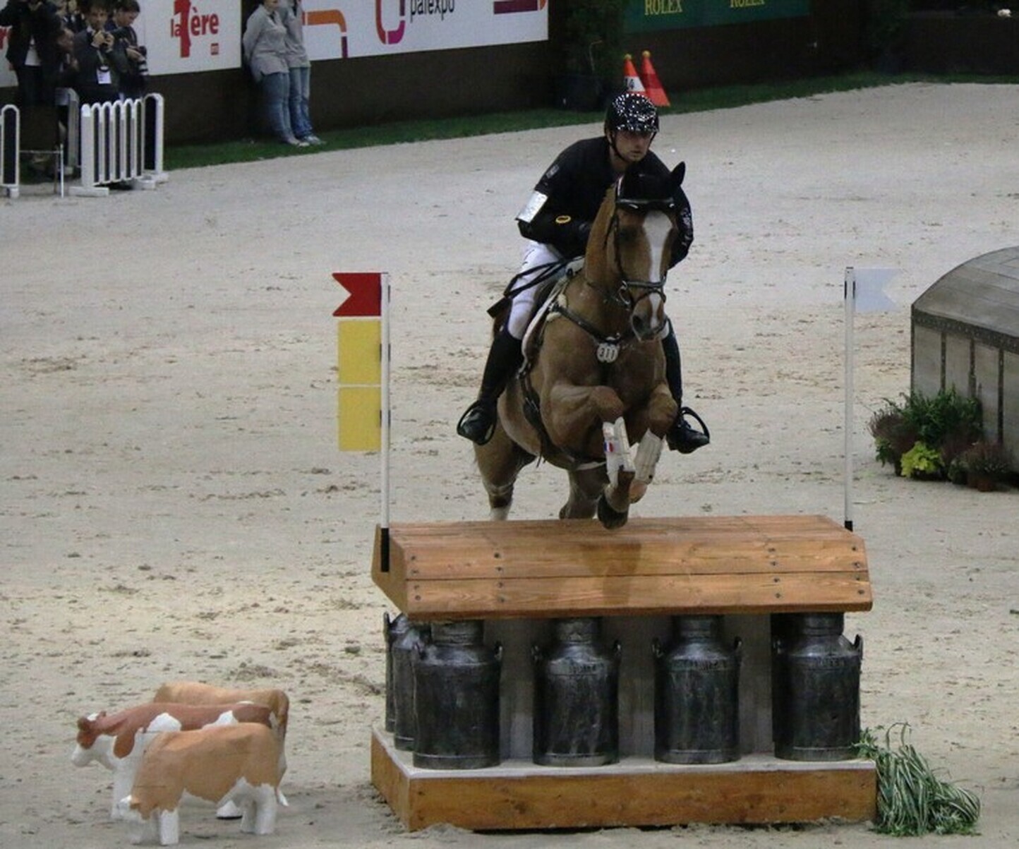 Description de l'image