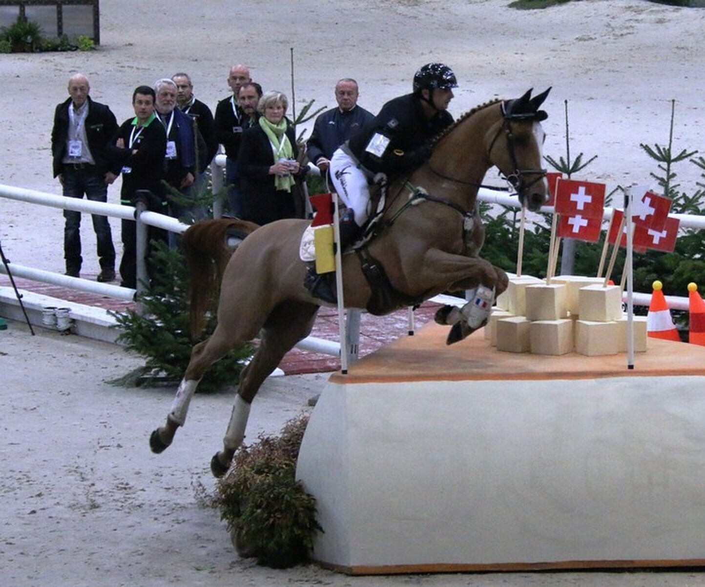 Description de l'image