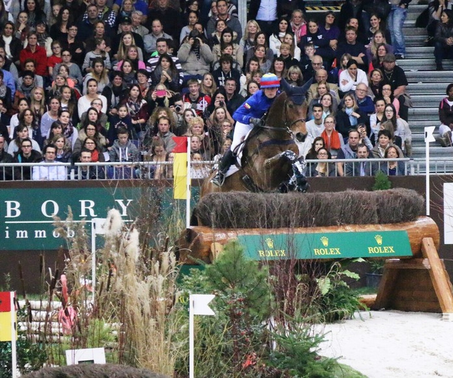 Description de l'image