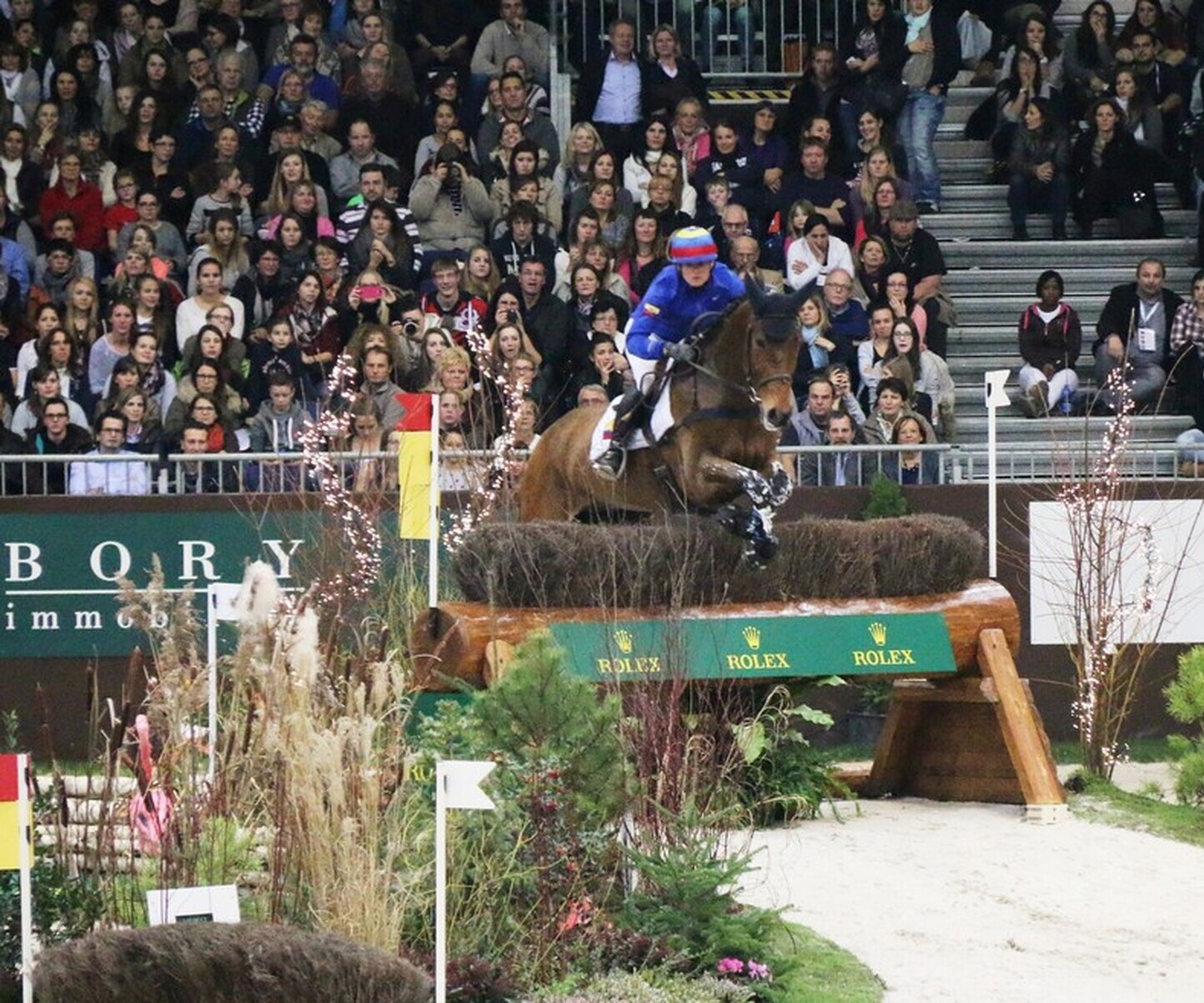 Description de l'image